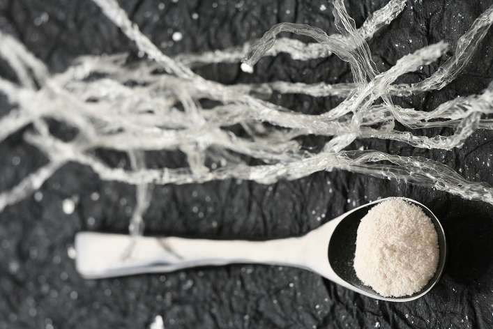 Cómo Utilizar El Agar Agar Diccionario De Alimentos Veritas
