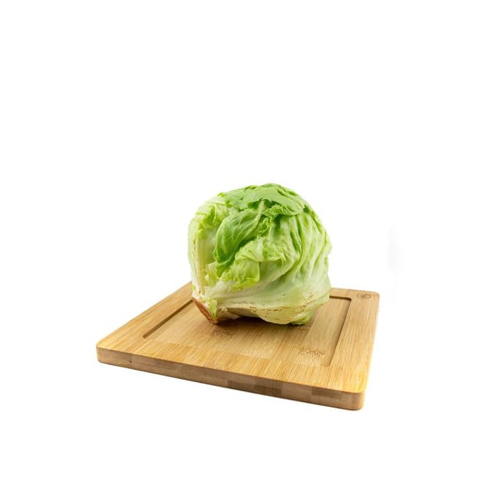Lechuga Iceberg ECO main product photo
