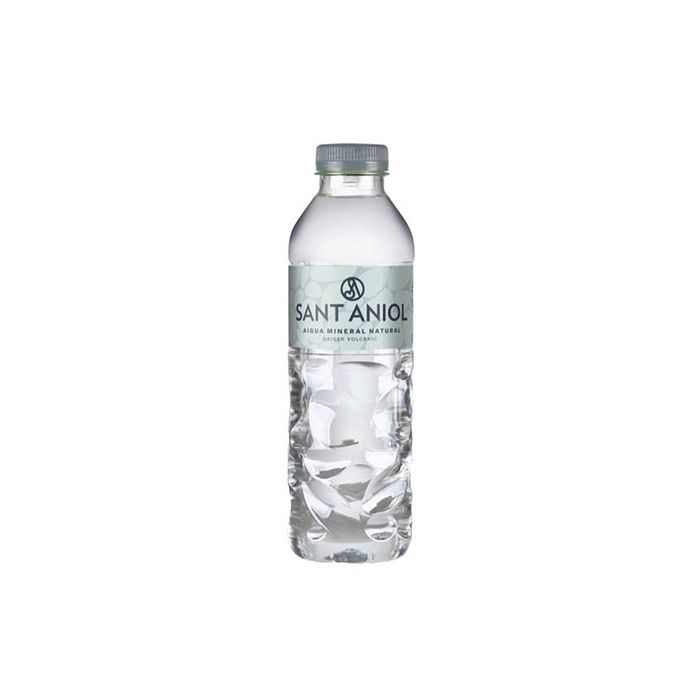 Agua Sant Aniol 33 cl main product photo