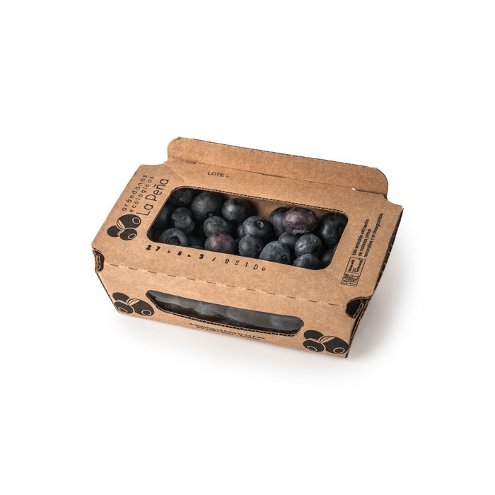 Arandanos bja. 125grs ECO main product photo