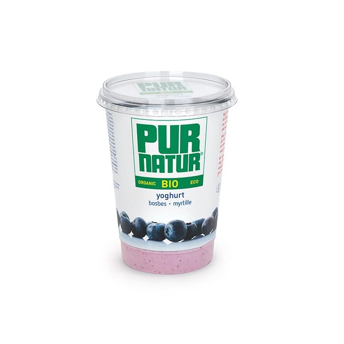 Yogur c/arandanos P.Natur 500g ECO main product photo