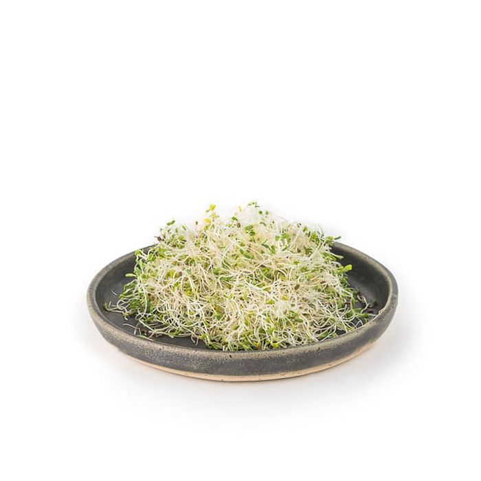 Alfalfa nat. Germinada Veritas 50g ECO main product photo