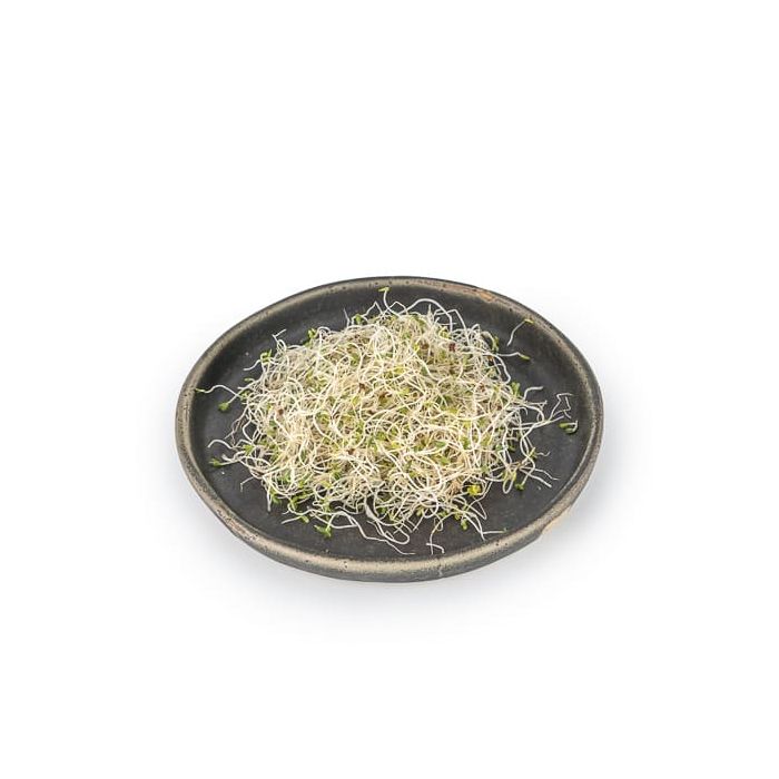 Alfalfa c/Berros Germin Veritas 50g ECO main product photo