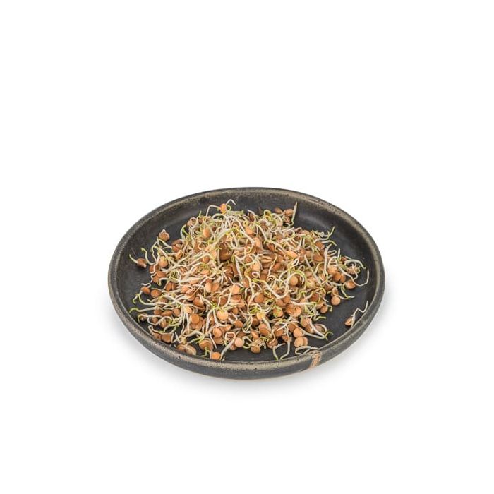 Lenteja Germinada Veritas 50gr ECO main product photo