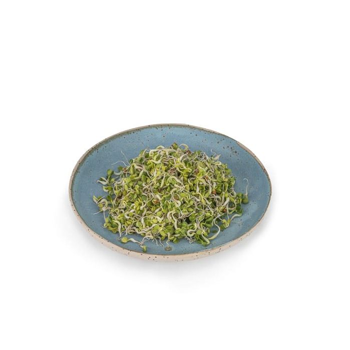 Rabanitos Germinados Veritas 50g ECO main product photo
