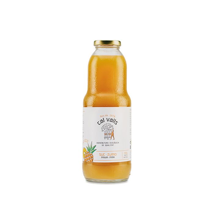 Zumo de piña Cal Valls 1L ECO main product photo