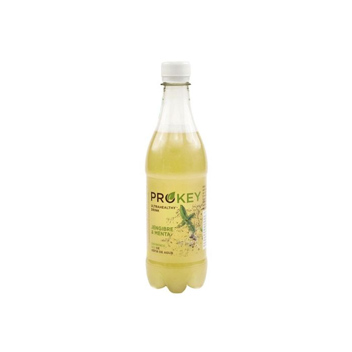 Bebida probiot menta/jengibre Prokey ECO main product photo