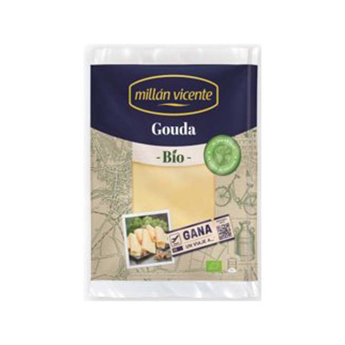 Queso gouda lonchas M.Vicente 125g ECO main product photo