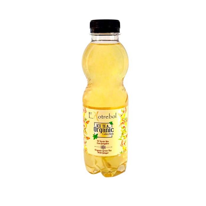 Té verde jengibre Ekotrebol 500ml ECO main product photo