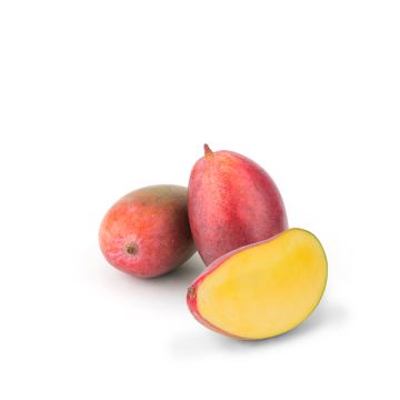 Mango ECO