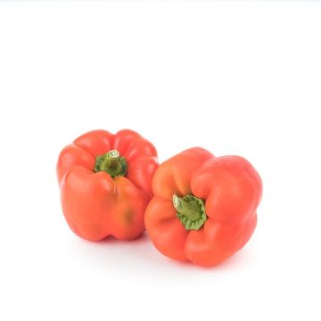 Pimiento rojo California ECO