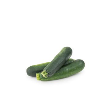 Calabacin ECO
