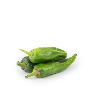 Pimiento verde Italiano ECO