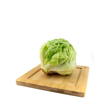 Lechuga Iceberg ECO