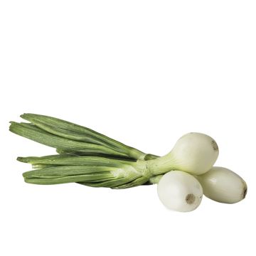 Cebolla tierna Manojo 400gr ECO