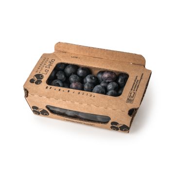 Arandanos bja. 125grs ECO