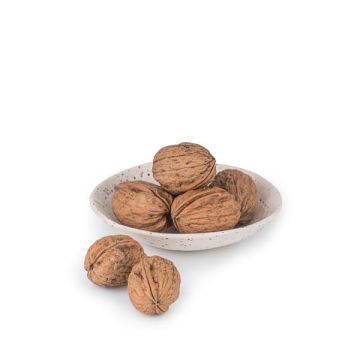 Nueces con cáscara ECO