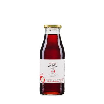 Concentrado manzana Cal Valls 500ml ECO