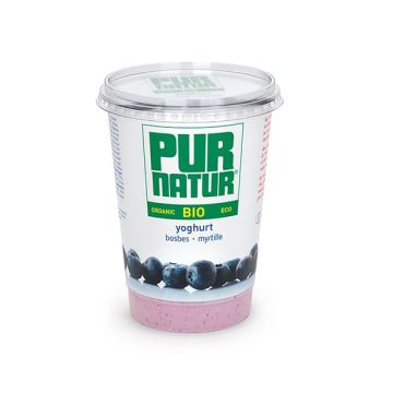 Yogur c/arandanos P.Natur 500g ECO