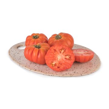 Tomate Rebelion ECO