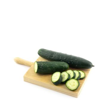Pepino Frances ECO