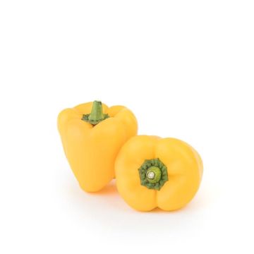 Pimiento Amarillo California ECO
