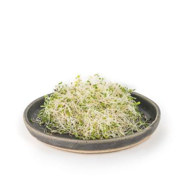 Alfalfa nat. Germinada Veritas 50g ECO