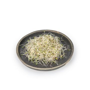 Alfalfa c/Berros Germin Veritas 50g ECO