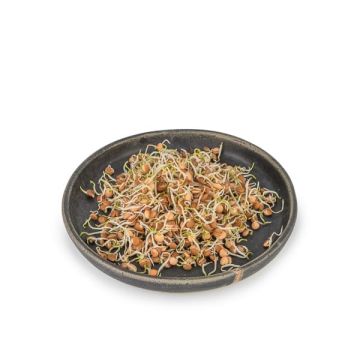 Lenteja Germinada Veritas 50gr ECO