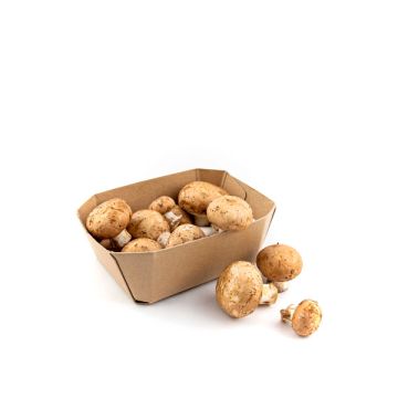Champiñon Portobello 250g ECO