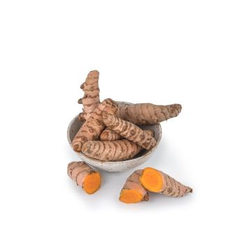 Cúrcuma ECO