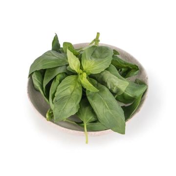 Albahaca Fresca 30g ECO