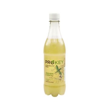 Bebida probiot menta/jengibre Prokey ECO