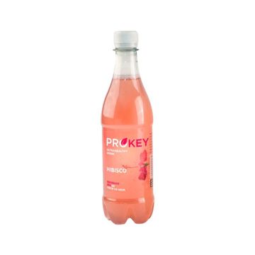 Bebida prob hibisco Biosasun 500ml ECO