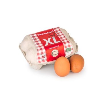 Huevos XL Can Martí 6un ECO
