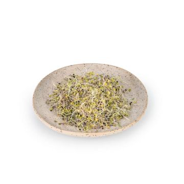 Mezclum Detox Germin Veritas 50g ECO