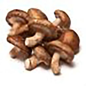 Shiitake GR ECO