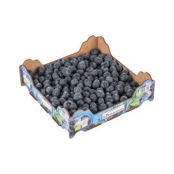 Nabius 400gr ECO