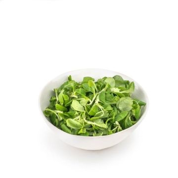 Canónigos Ecoama 70g ECO