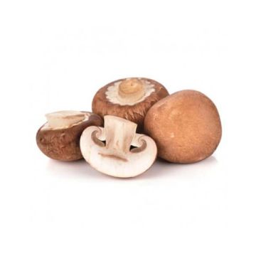 Champiñon Portobello GR ECO