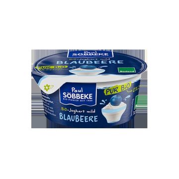 Yogur arándanos Sobbeke 150g ECO