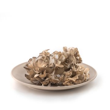 Maitake 125g ECO