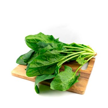 Espinacas ECO