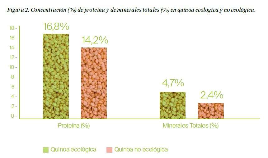 Quinoa ecológica, la más nutritiva - Estudios - Veritas