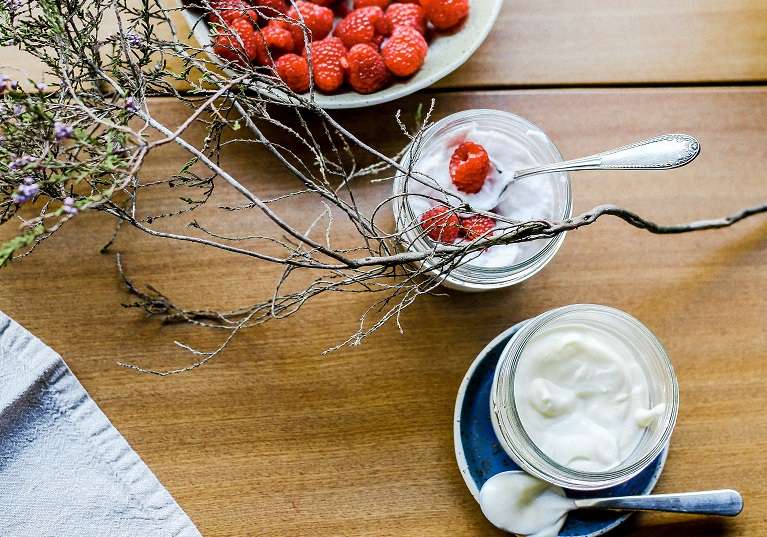 Delicias veganas que enriquecen tu dieta - Veritas
