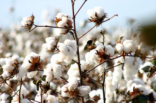 Higiene íntima ecològica i sostenible - Veritas