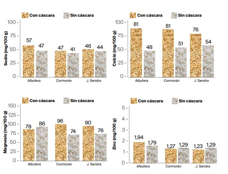 Cereales integrales ecológicos, hasta el doble de minerales - Estudios - Veritas