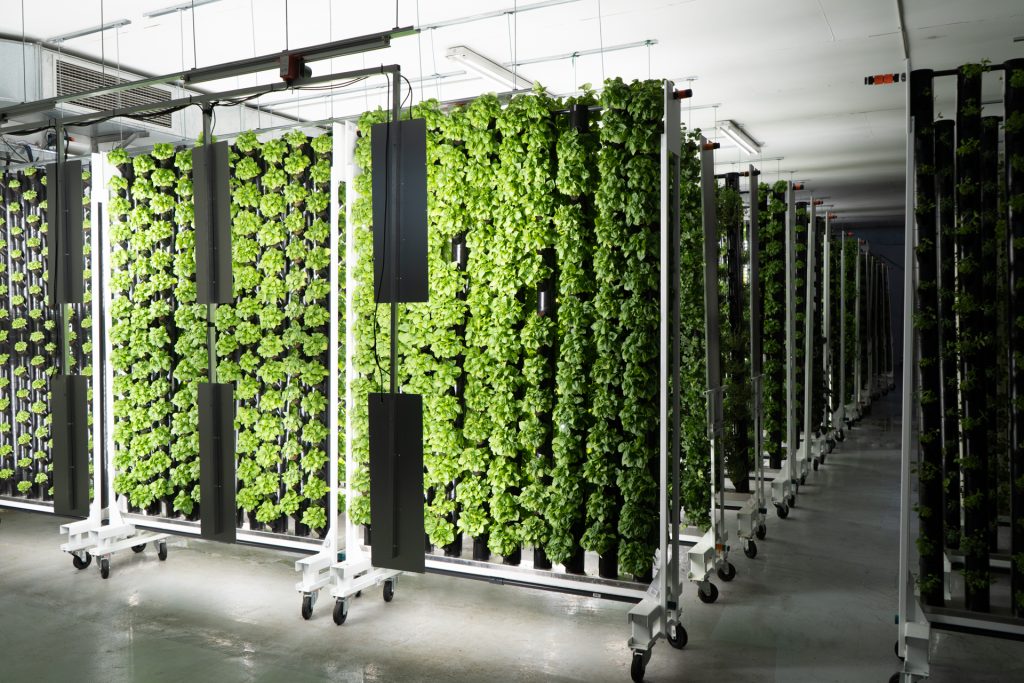 Agricultura vertical - Groots