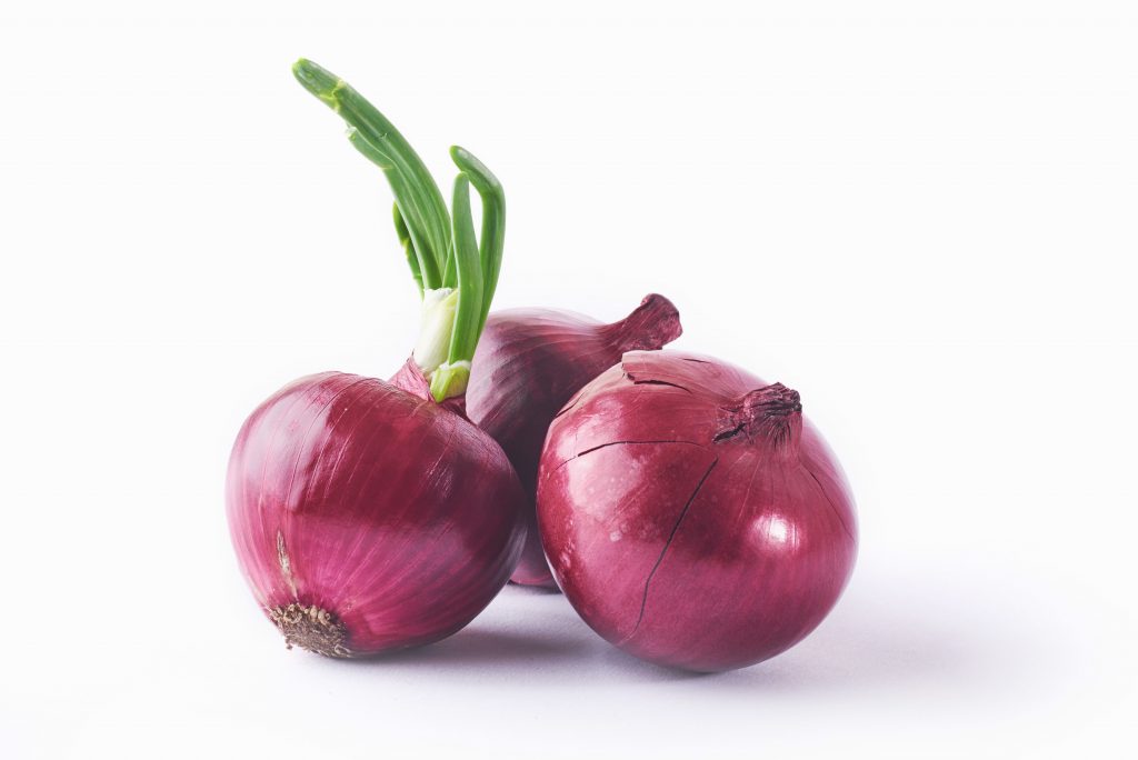 Ceba morada