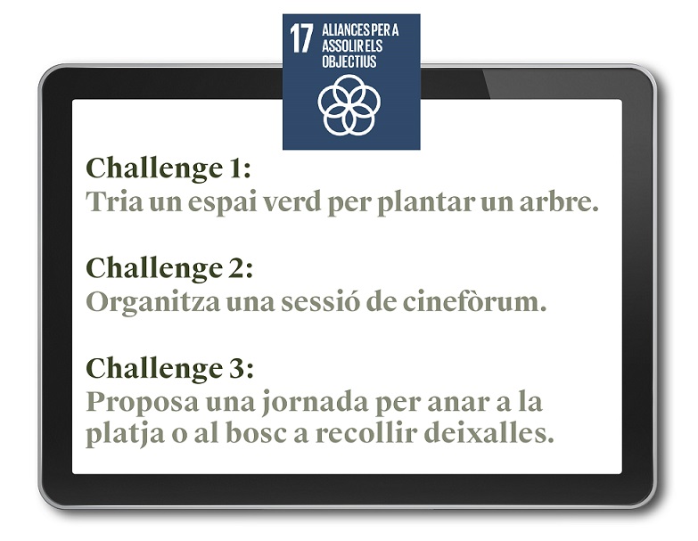 ODS 17 - Challenge Veritas